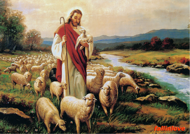 예수와 양떼